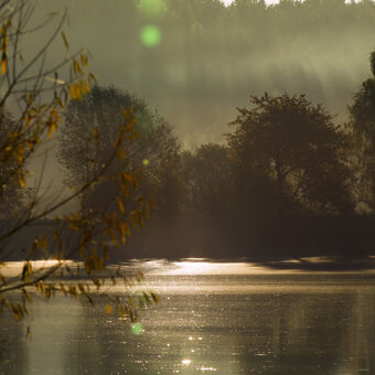 ráno na Drahotínském rybníku