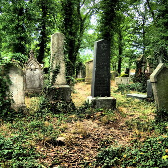 Židovský hřbitov pod