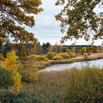 Podzim u Padrťských rybníků