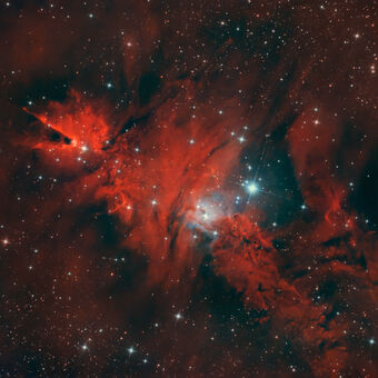 NGC 2264 - hvězdokupa Vánoční stromeček