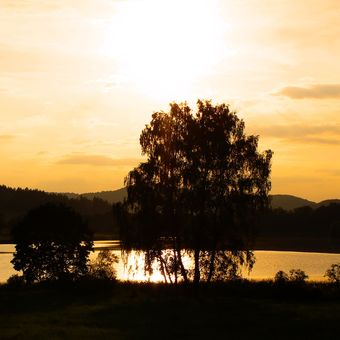 Západ slunce u rybníka.