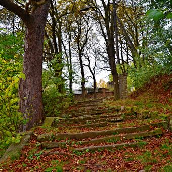 podzimní staré schody