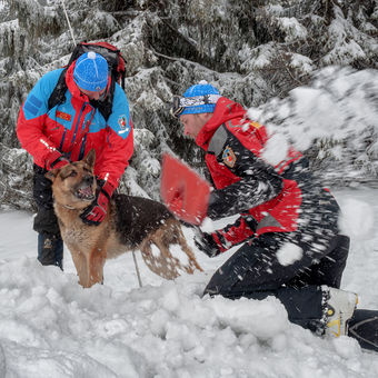 Pes, rychlá pomoc zasypaným v lavině