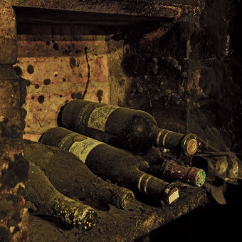 Archivní víno