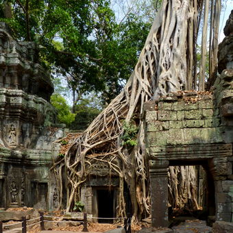 Angkor Wat Ta Prohm Temple