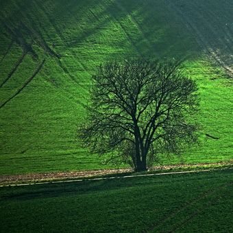 zelená krajina "Moravského Toskánska"