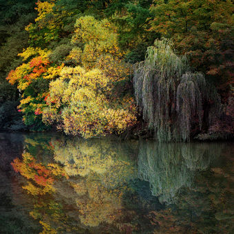 Podzim v zrcadle vody