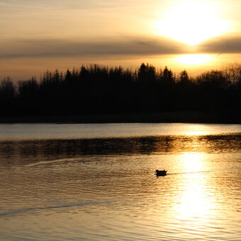 Západ slunce u rybníka