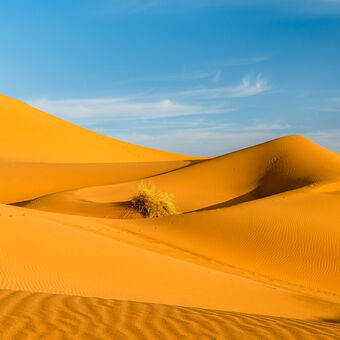 V lůně pouště