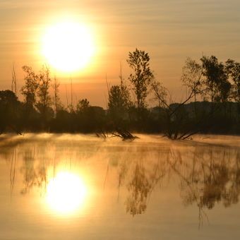 Ráno u rybníku Rašelina, Mistřín