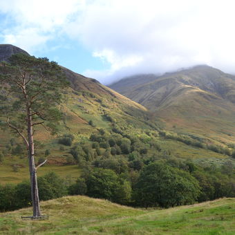 Údolí pod Ben Nevis - Skotsko
