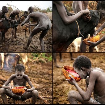 Pití krve -  tradiční zvyk kmene Suri z jižní Etiopie