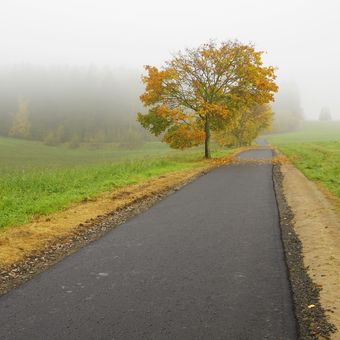 podzimní mlhy
