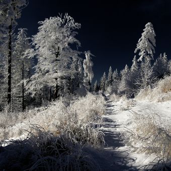 Zima v Javořích horách