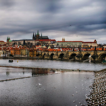 Pražský hrad v podvečerních hodinách
