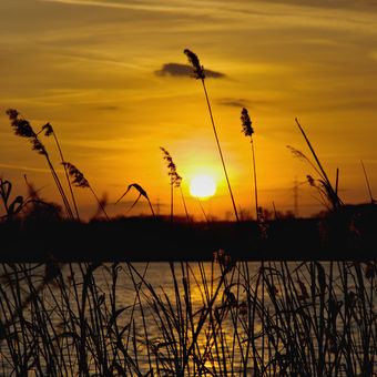 západ slunce u Mlýnského rybníku