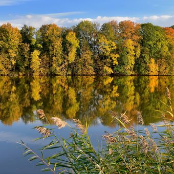 Podzim na Polaneckých rybnících...
