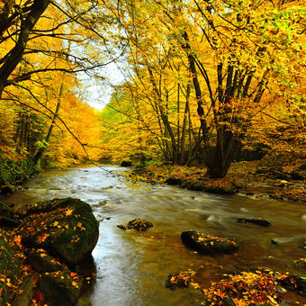 Podzimní řeka