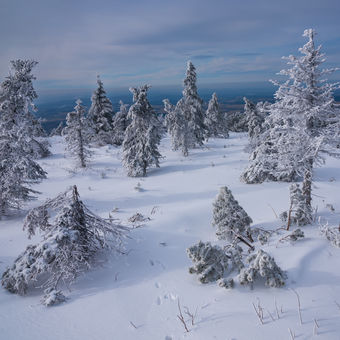 Zima v Jizerkách