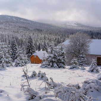 Šumava, sníh a mráz
