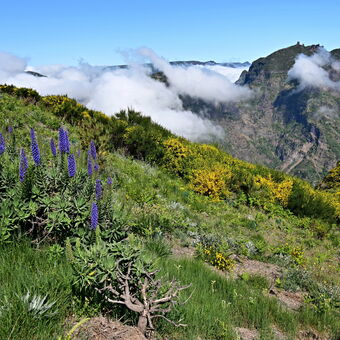Údolí jeptišek, Madeira