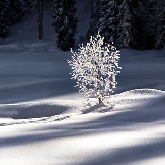 Šumava - třírozměrný sníh