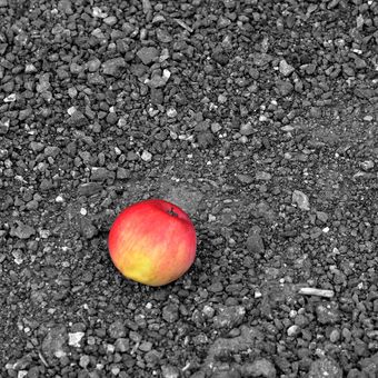 Ztracené jablko