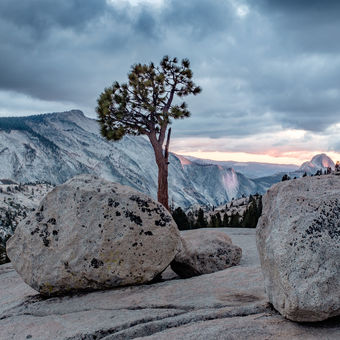 Olmsted Point | Yosemite