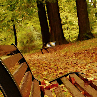 podzimní  osamocené lavičky