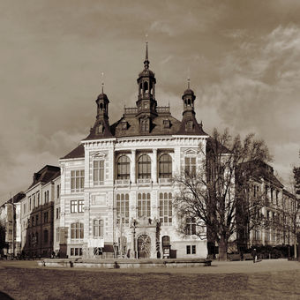 Plzeňské muzeum
