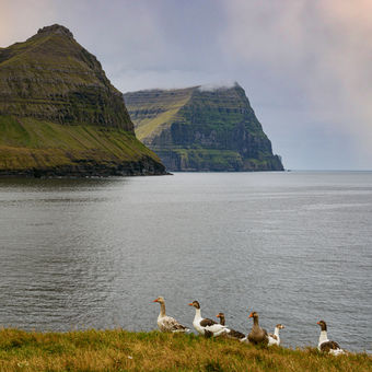 na Faerských ostrovech