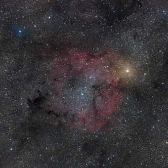 Mladá otevřená hvězdokupa IC1396 v souhvězdí Cefea