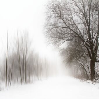 Zima a mlha