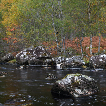 podzim na řece