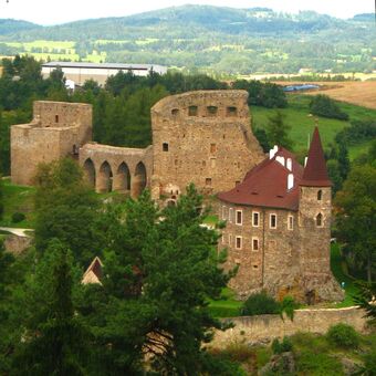 Hrad Velhartice (původně Vilhartice) stojí na ostrohu nad levým břehem řeky Ostružná v obci Velhartice (okres Klatovy). Byl založen na přelomu 13. a 14. století pány z Velhartic.