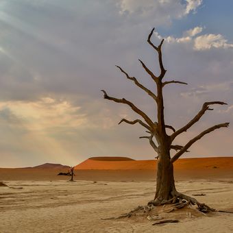 Poušť Sossusvlei - Namibie