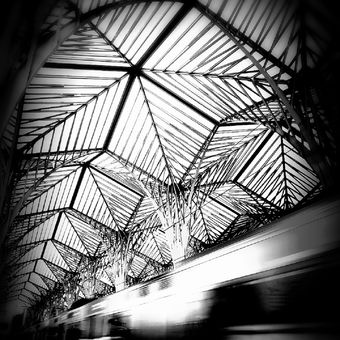 Ocelové palmy - zastřešení nádraží v Lisabonu