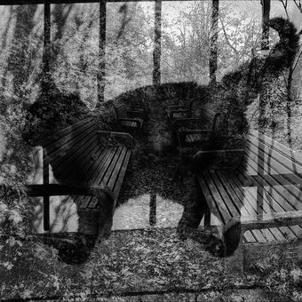 Kočka u plotu nezná samotu