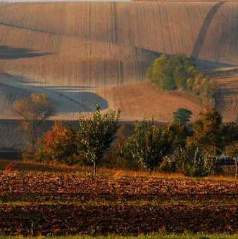 přicházející podzim v Moravském Toskánsku