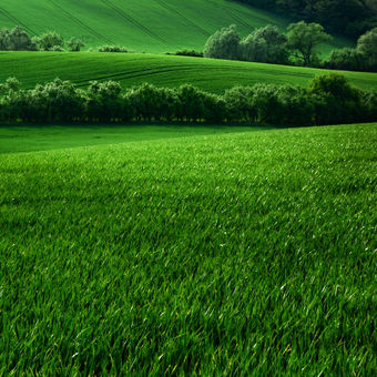 Zelené údolí