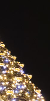 Vánoční strom a radnice v Ostravě