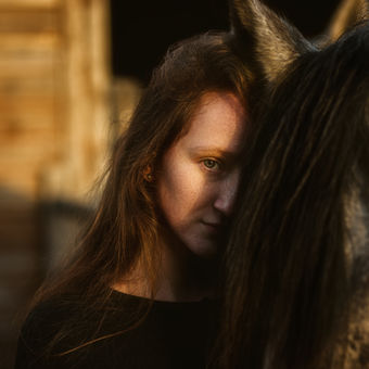 Ve stínu koně