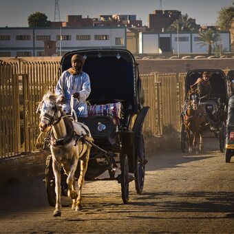 Droškaři v ulicích Kom Omba v Egyptě