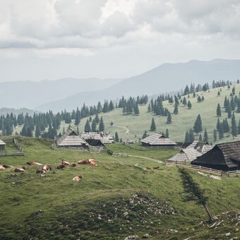 Veliká Planina (Slovinsko)