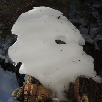 Sněžný muž z profilu