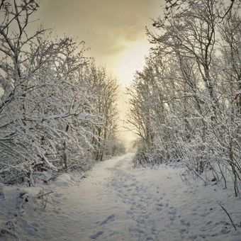 Cesta za zimním sluncem
