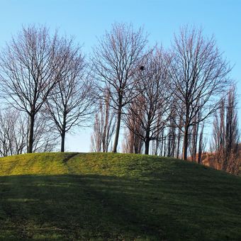 Stromy v parku - začne zima