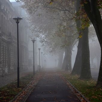 Mlhavé podzimní ráno