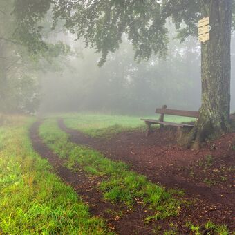 Mlhavé ráno u lavičky