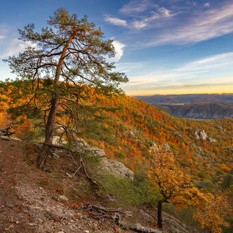 krásy podzimu v údolí Wachau